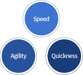 Agility - Speed - Quickness